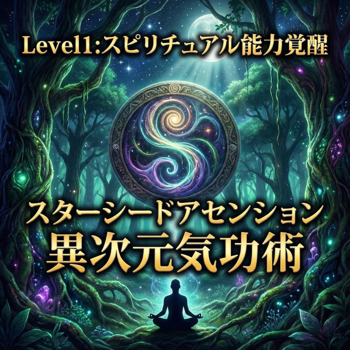 スターシードアセンション 異次元気功術 覚醒します Level1:スピリチュアル能力覚醒 DNA チャクラ活性化 イメージ3