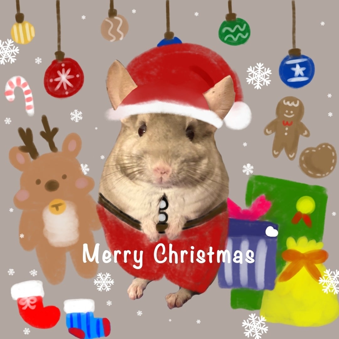 ペットの写真でオリジナルSNSアイコンを作ります <季節やテーマに沿ってペットの写真を使いイラストを作成> イメージ9