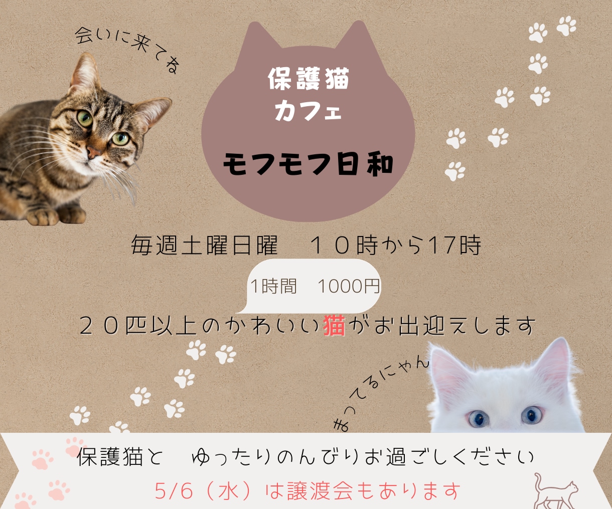 伝わるバナー作成します バナー・ヘッダー・ＷＥＢ画像すべて1５００円で作ります。 イメージ4