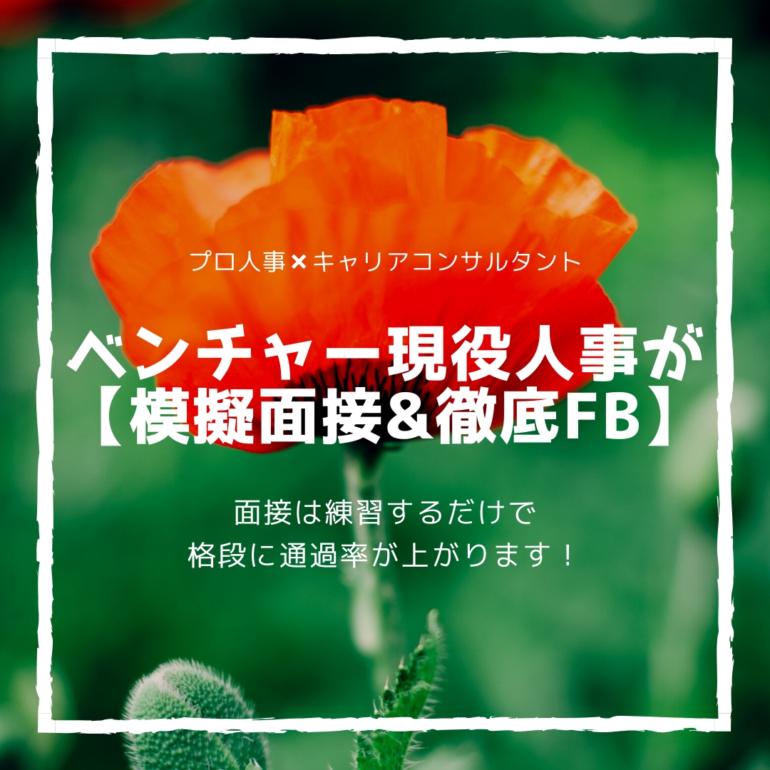 転職支援｜ベンチャー人事が徹底的に面接対策します 企業に合わせてあなたの強みを確実に言語化できるようお手伝い！ イメージ1