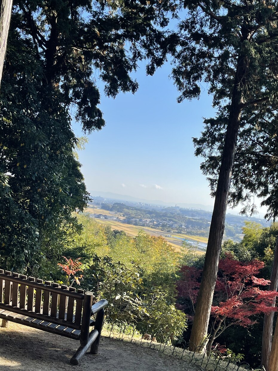 ペンジュラム 貴方の潜在意識と繋がります どんな悩みも 大丈夫  心穏やかになれるの お手伝い イメージ9