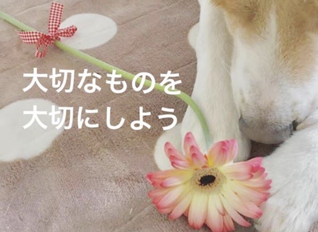 どんなあなたも受けとめます いまのあなたのままでお話しに来てください。 イメージ4