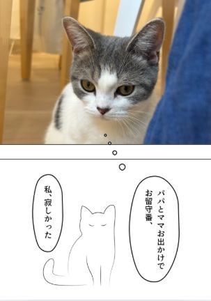 大切なペット写真集をペーパーバックで制作します 一緒に過ごす幸せ　癒しと笑顔の瞬間を写真集で残そう イメージ7