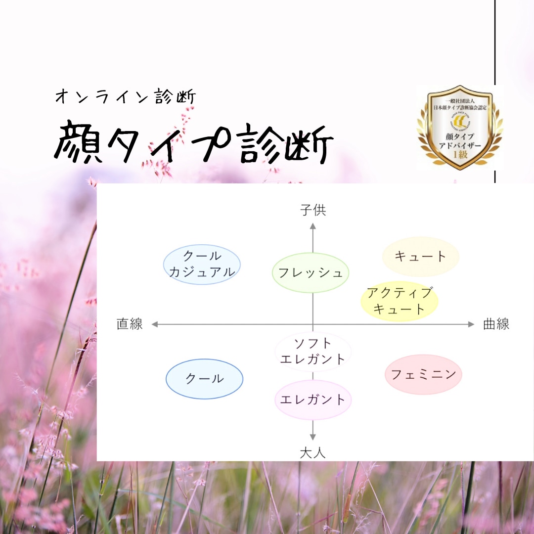 顔タイプ診断☆あなたの魅力のポイントをお伝えします 顔タイプ診断で「似合う」がわかり、あなたの魅力が輝く！ イメージ1