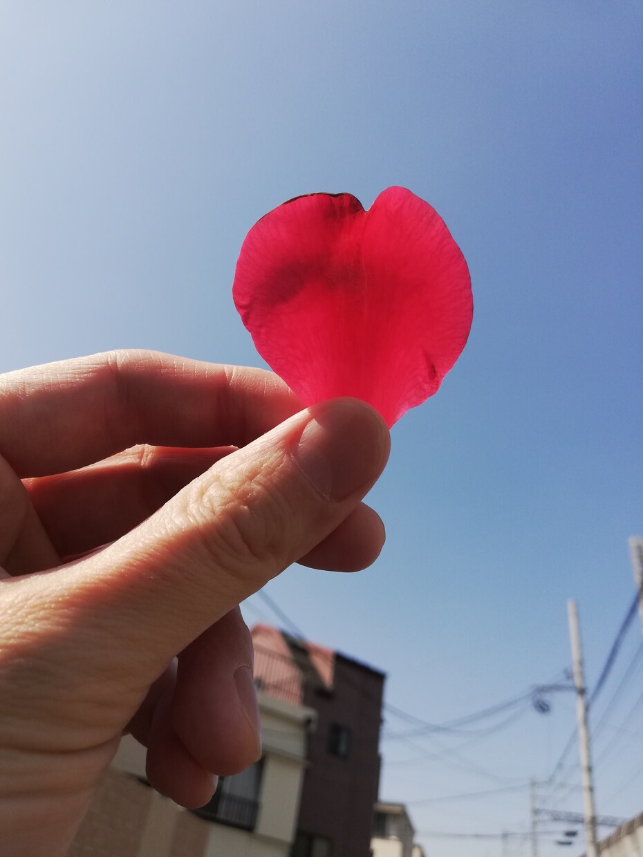 主に"お父さん"からのご相談をお受けしています 「子育ては母親のもの」という圧力を感じていませんか？ イメージ1