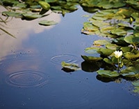 あっ！電話で聞き忘れた！という方も鑑定します お相手の気持ちと今後のゆくえ、お仕事などで迷われている方へ イメージ1