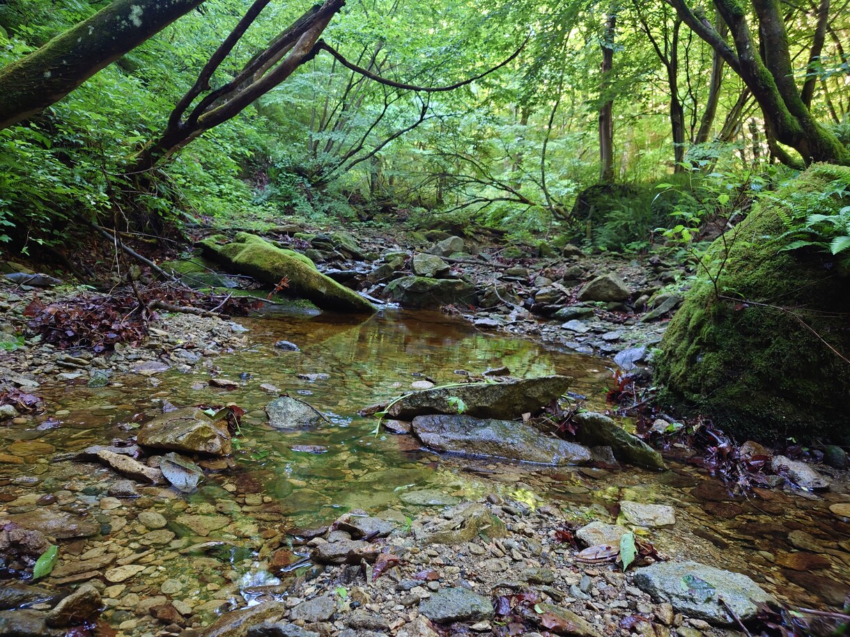 登山、山登りを始める方、登り方やポイント教えます ソロ登山の経験から教える「山登りを始めようとする方必見」 イメージ9