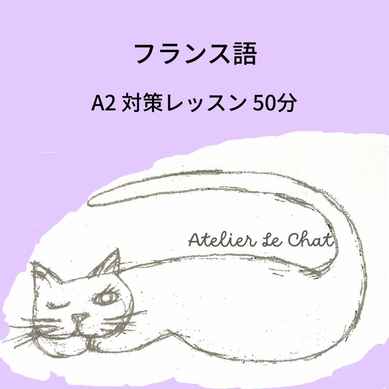 フランス語 50分　A2対策レッスンします 楽しく学んで合格を目指しましょう イメージ1