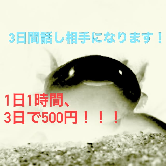 3日間話し相手になります ココナラのテキストチャットで3日間話し相手になります。 イメージ1