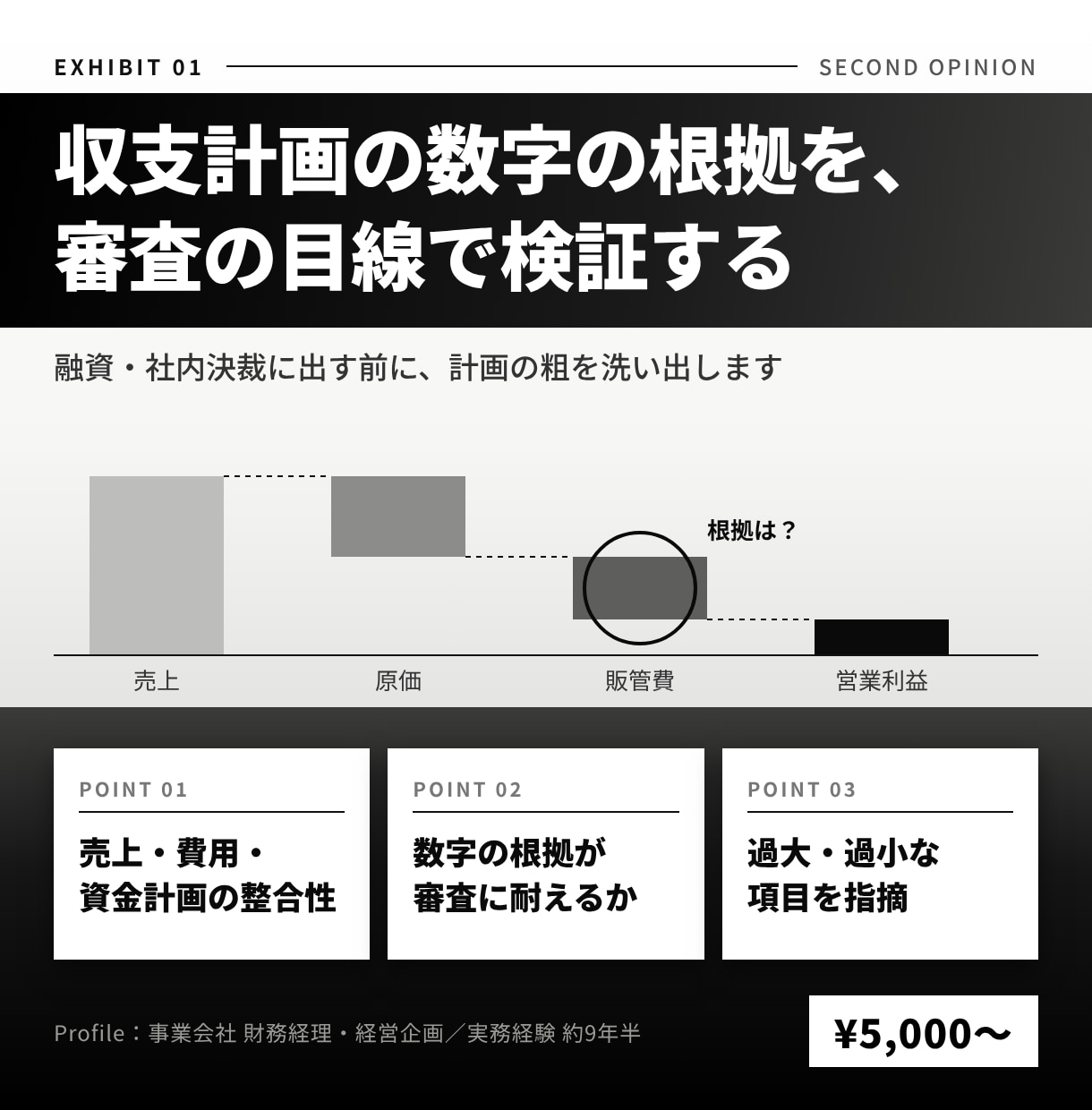 事業計画の収支計画を財務のプロが検証します 融資・審査に出す前のセカンドオピニオン。数字の粗を整理します イメージ1