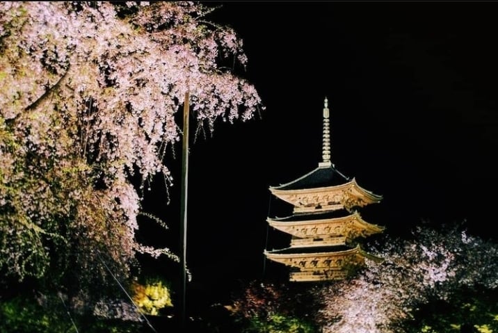 あなたの代わりに京都旅行の写真を撮ります 写真で京都を旅行しませんか？？ イメージ1
