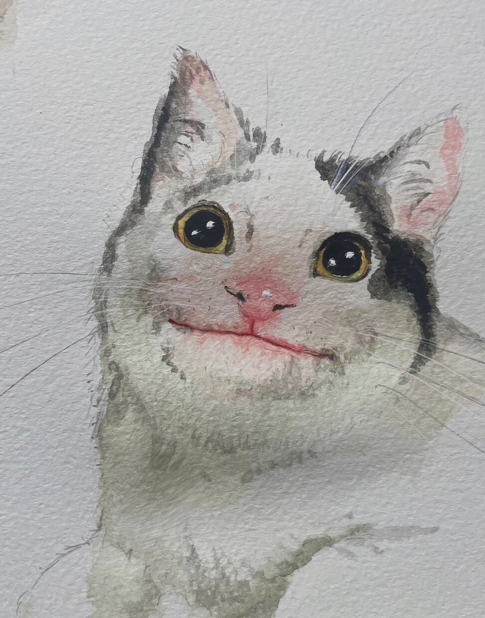 動物のイラスト承ります 愛猫や愛鳥、その他様々な動物のイラスト描きます イメージ2
