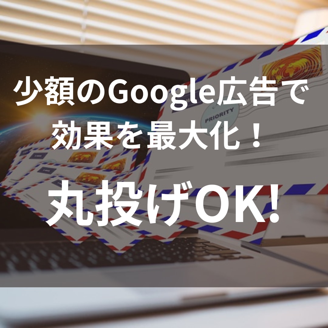 少額予算でGoogle広告の代行をいたします 丸投げOK ビデオチャット可能 余計な費用はかかりません イメージ1