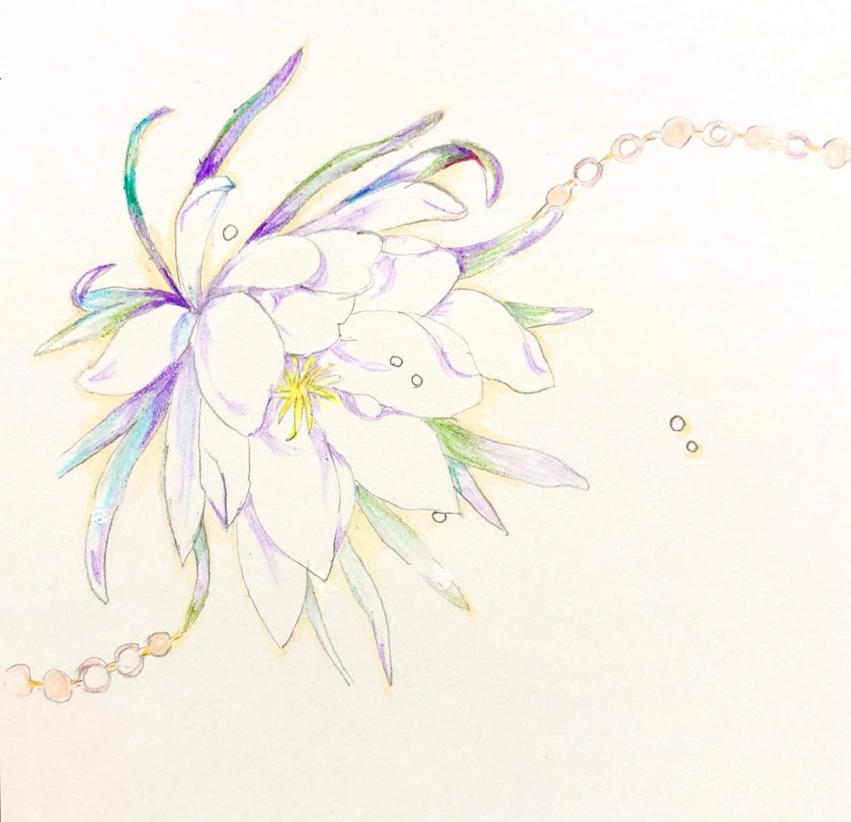 お花のイラストを色鉛筆で描きます お花の絵を飾ろう。生花じゃなくても絵で癒される時間を イメージ1
