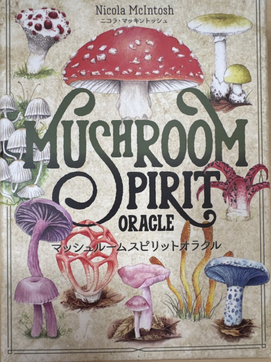 自然、木、植物が好きな方！キノコリーディングします あなたとつながっている面白いキノコたちからの気付きのヒント イメージ1