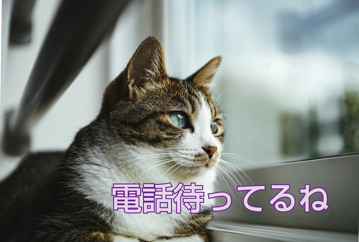 癒しと楽しさのお時間に♡そっと寄り添います ５分でもOK！ちょっとだけでも…お気軽に♡お話し聞きます♡ イメージ1
