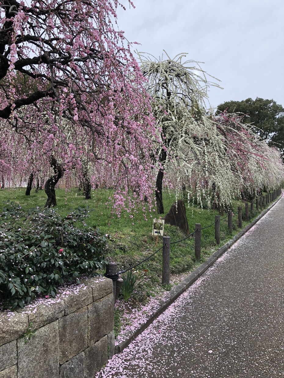 元販売員のケータイ講座！色々お答えしちゃいます ケータイ初心者さんから機種変更を考えているあなたも！ イメージ1