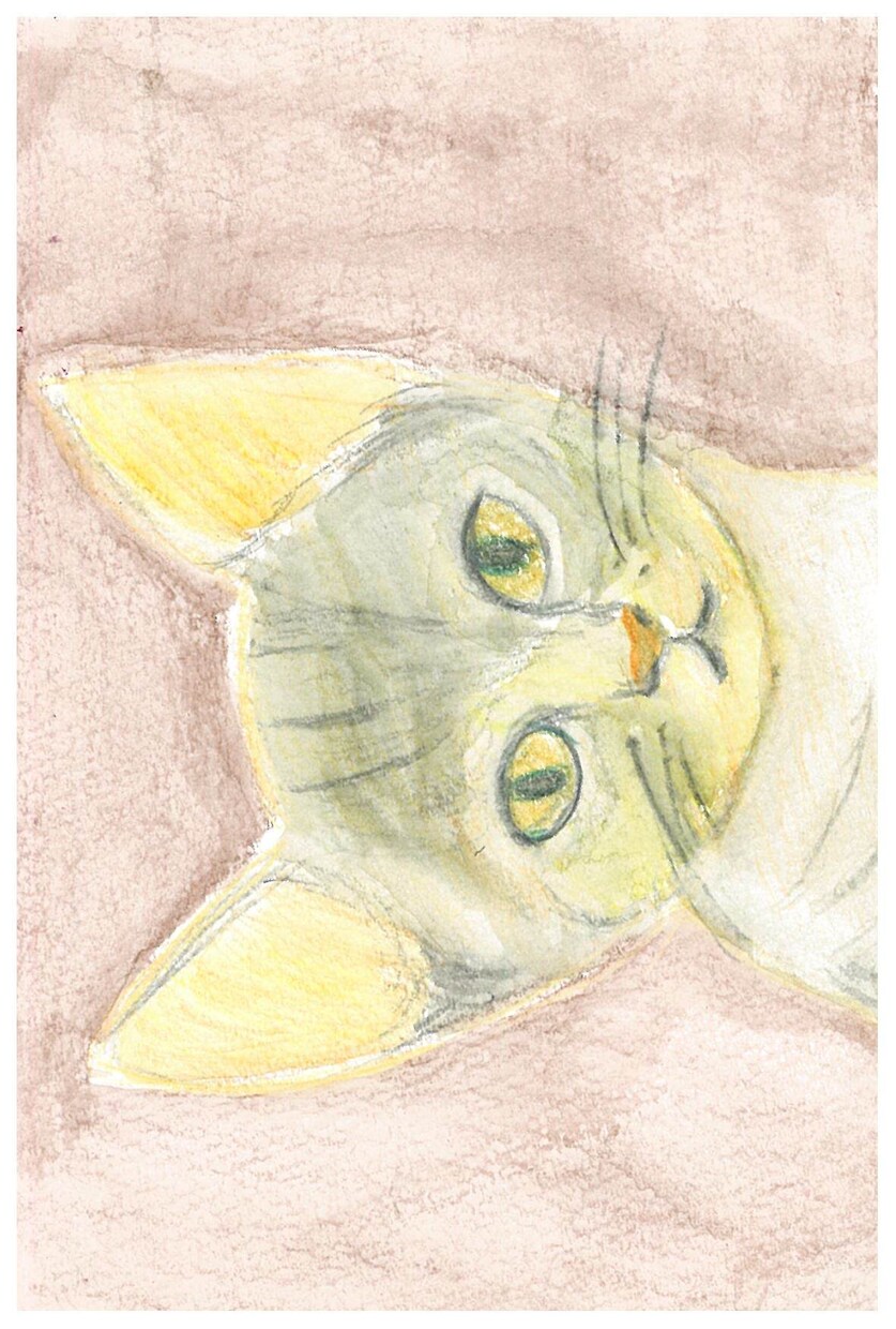 人やペットの肖像を描きます 人やペットの写真を元に、絵にします。思い出にいかがですか？ イメージ2