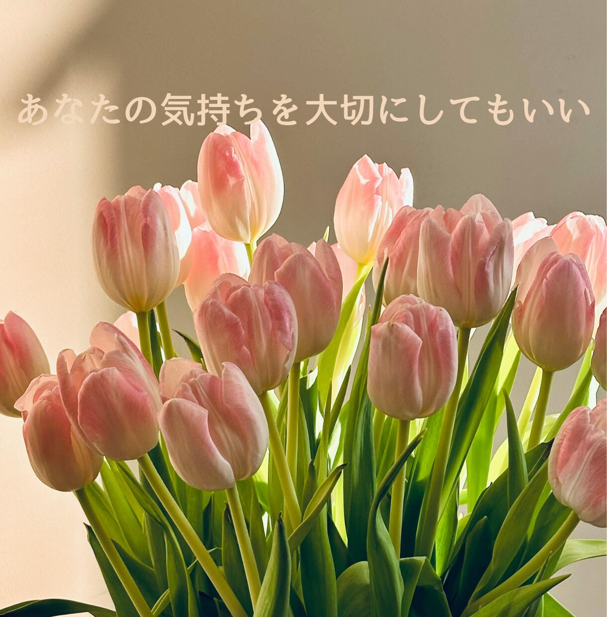 自分を責めてしまう心にそっと寄り添います ☆☆安心して本音を話せる対話で、心をそっとほどきます☆☆ イメージ5