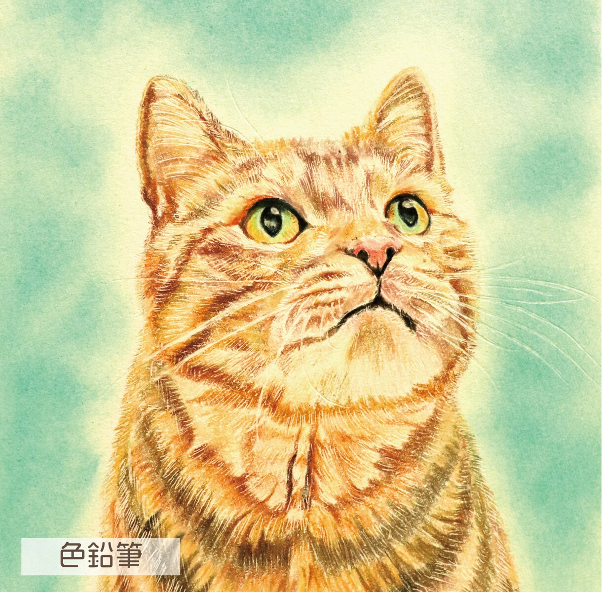 色鉛筆でペット絵お描きします 【現役20代デザイナー】がぬくもりを感じる1枚を描きます イメージ3