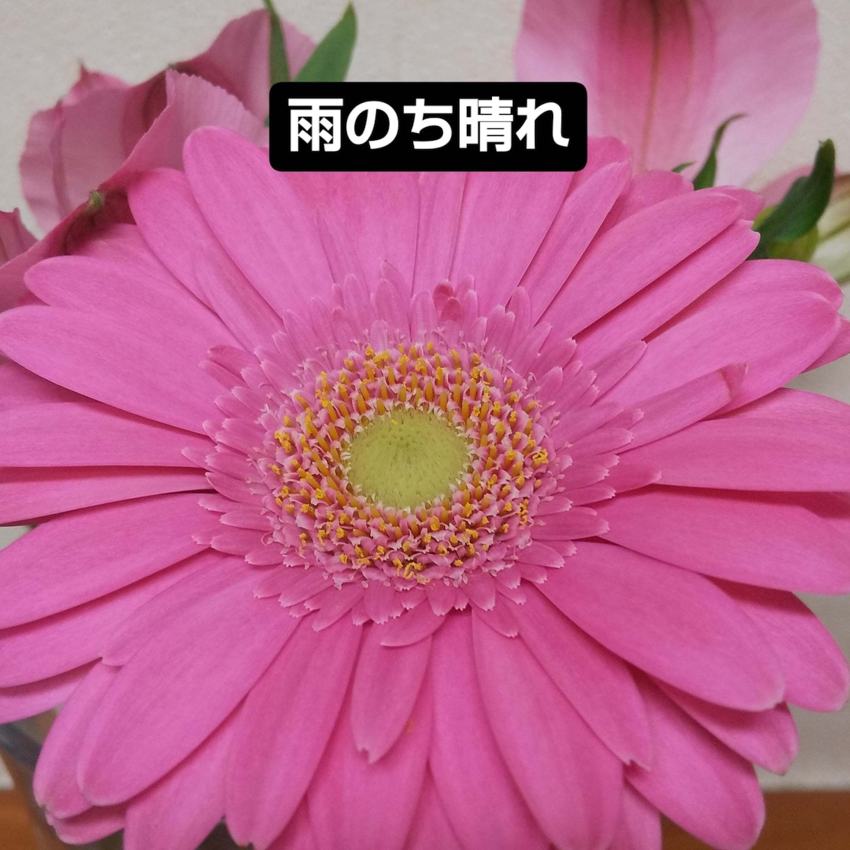 あなたの気持ちに寄り添います あなたのお悩み、お聞かせください イメージ1