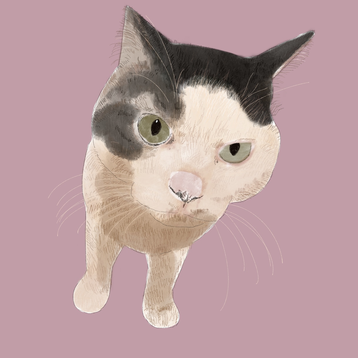 大切なペットのかけがえのない瞬間をイラストにします SNSアイコンや記念としてもご利用いただけます◎ イメージ2