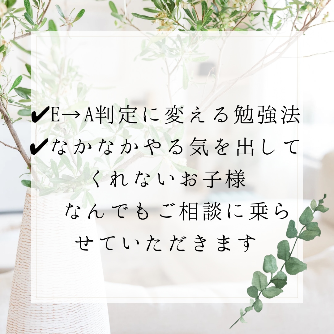 現役医学部生がアドバイスをします 国立医学部 E→A判定にする方法を伝授！ イメージ2