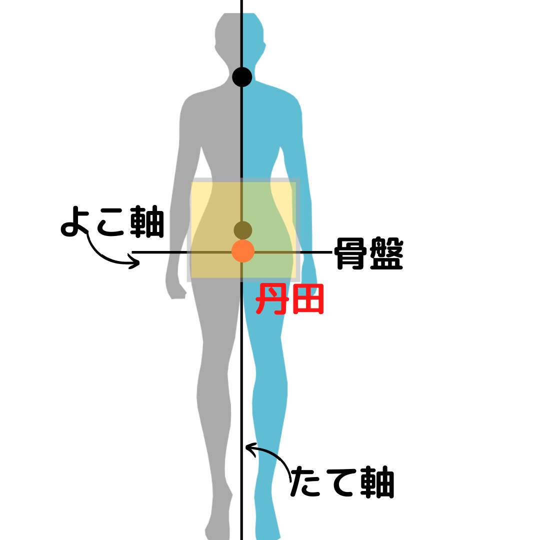 美ボディをめざす！♪ベリーエクササイズをします ウエスト周りを中心に解して、楽しみながらインナーマッスル作り イメージ3