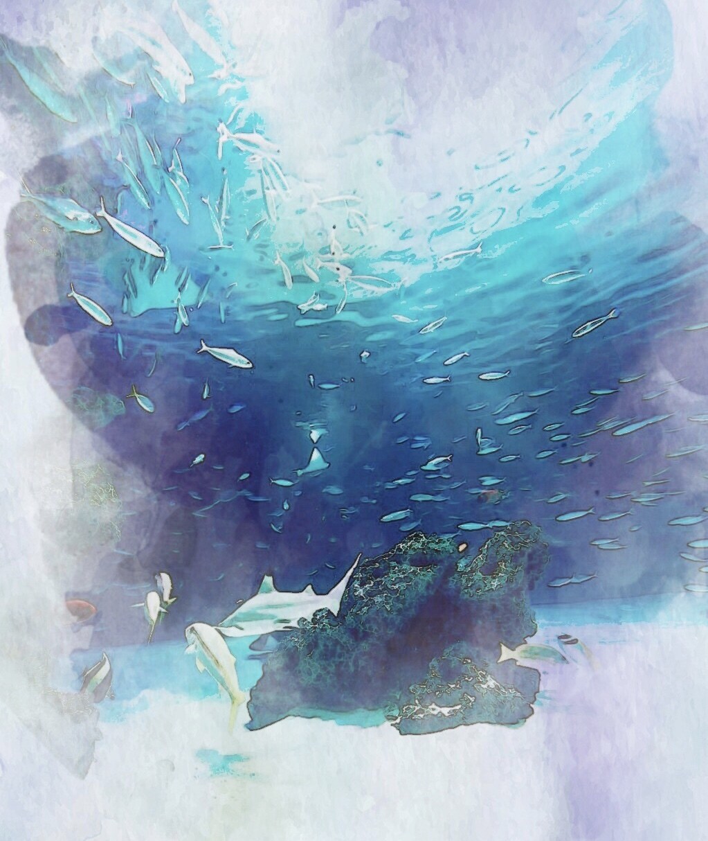 画像を水彩画風に加工します 人物、動物、イラスト、風景、なんでもOK！ イメージ2