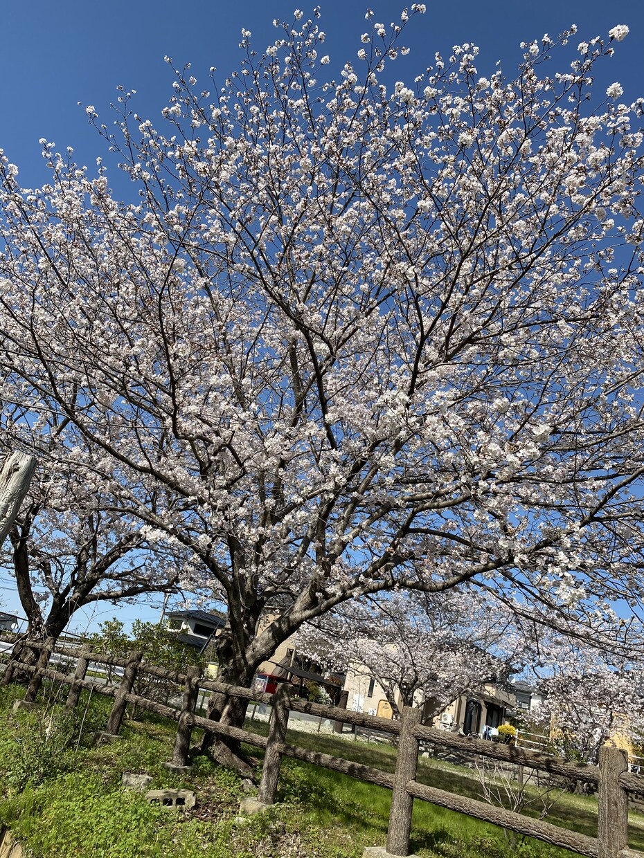 夫婦間の悩み事お聞きします 誰にも言えない事お引き受けします。 イメージ1