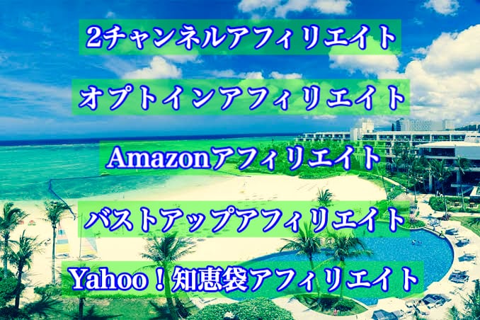 20種のアフィリエイトマニュアルを提供します 脱サラしたい方、スキマ時間にアフィリエイトで稼ぎたい方へ イメージ2