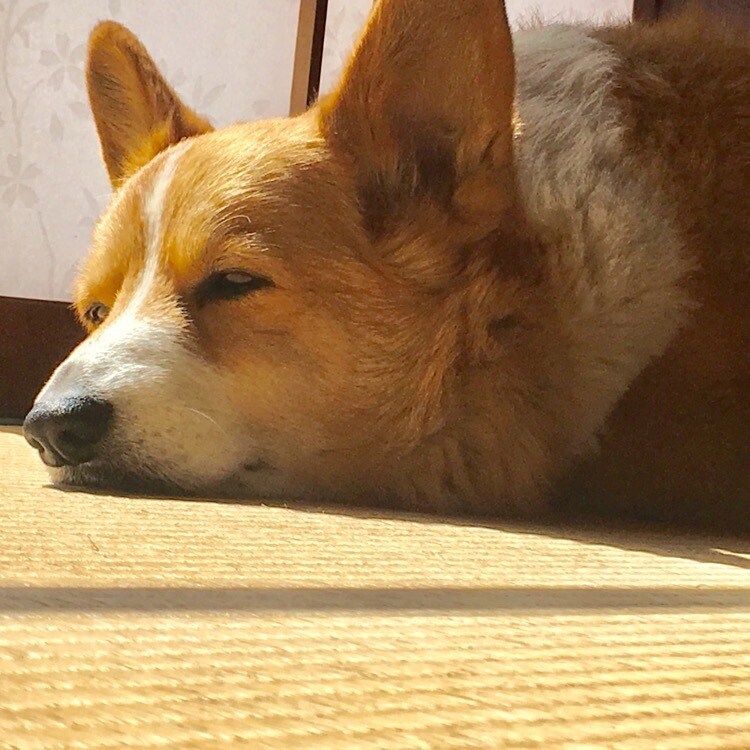 恋愛や会社、子育てなどの愚痴や悩みを聞きます 辛い時にはすぐに頼ってくださいね！心の支えになりたいです！ イメージ2