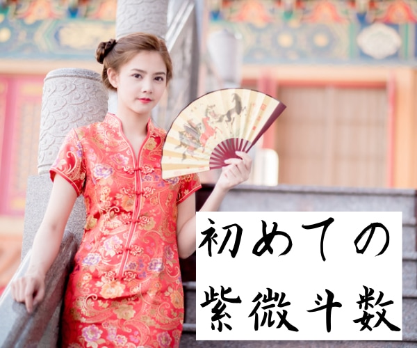 ラクラク簡単読める！紫微斗数PDF販売します 初心者さん向け紫微斗数テキストです イメージ1
