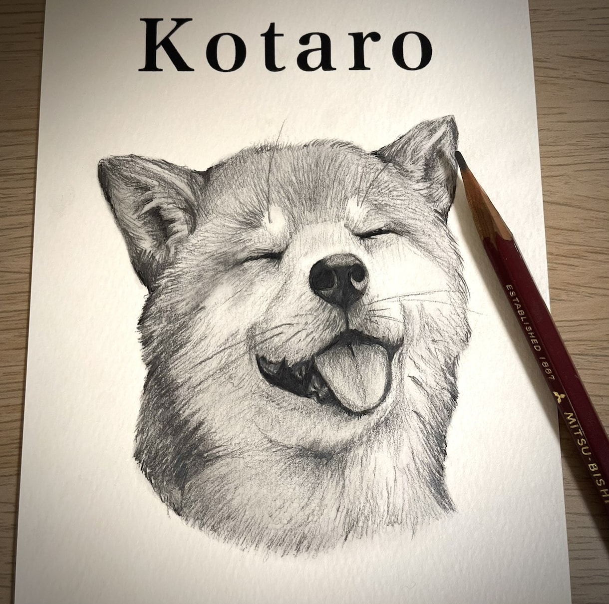 犬•猫•ペットの似顔絵を鉛筆画で丁寧に描きます 小動物〜爬虫類ちゃんのイラストもOK イメージ3