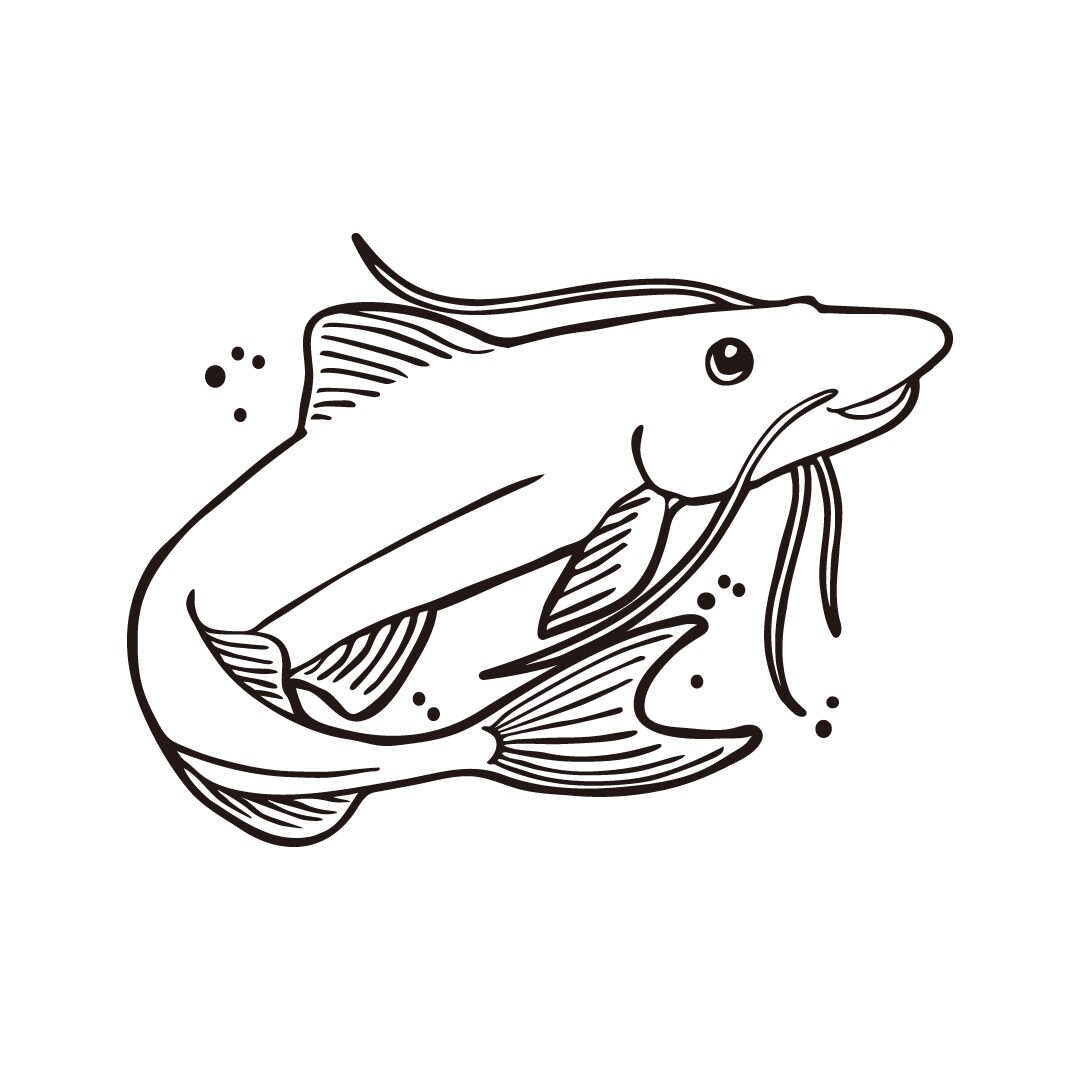 挿絵など、シンプルな生き物お描きします 子供向け冊子などに活用しやすいシンプルイラスト イメージ3