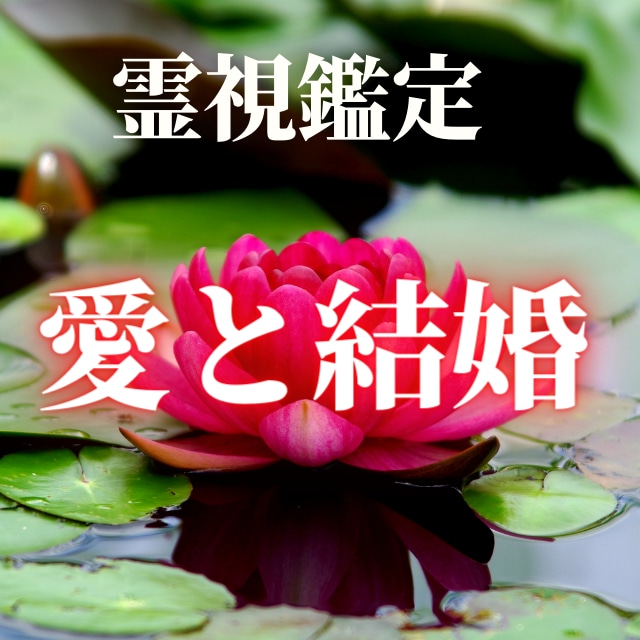 結婚や愛の悩みを電話鑑定します テキスト鑑定を受けた後のご相談はこちらもご利用できます。 イメージ1