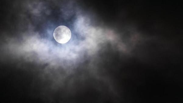 恋愛相談メインに何でもお話伺います あなたにはあなたの幸せがあります イメージ1