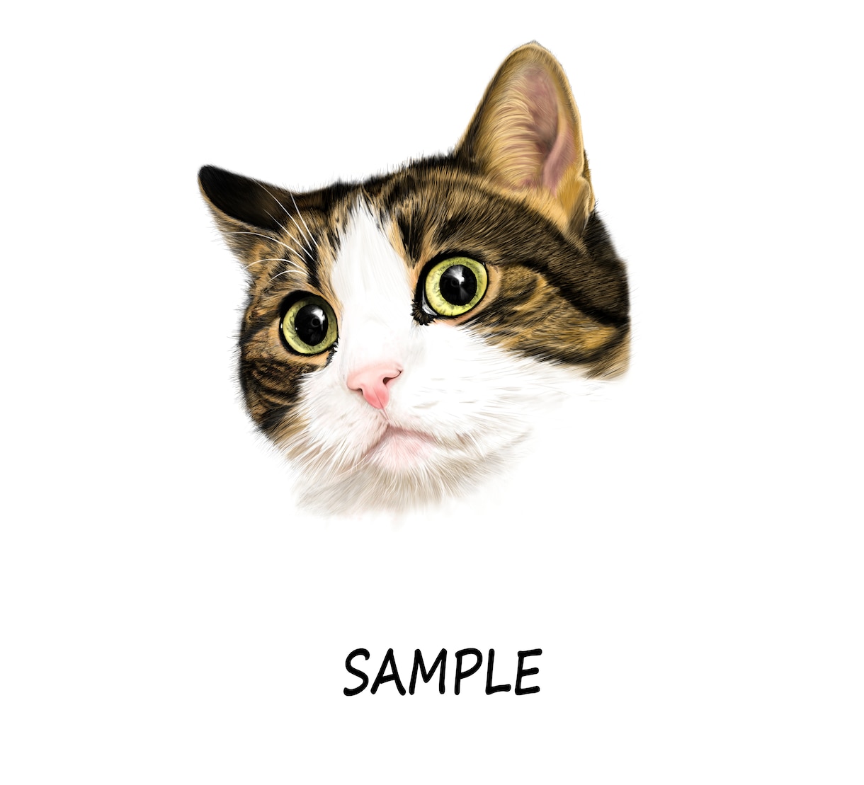猫ちゃんのイラスト描きます こちらは依頼を受けた購入用です。 イメージ2