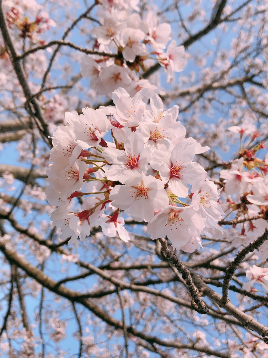 日常生活でのお悩み何でも受け付けます 誰かに直接お悩み相談するのはちょっと気が引けてしまう方へ イメージ1