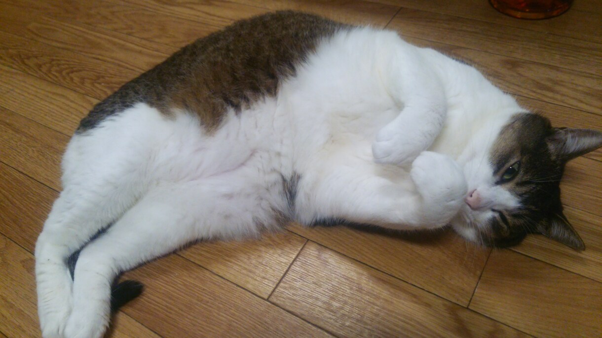 悩みや心の苦しみ聞き、解決策をアドバイスします(*´ω｀*) イメージ1