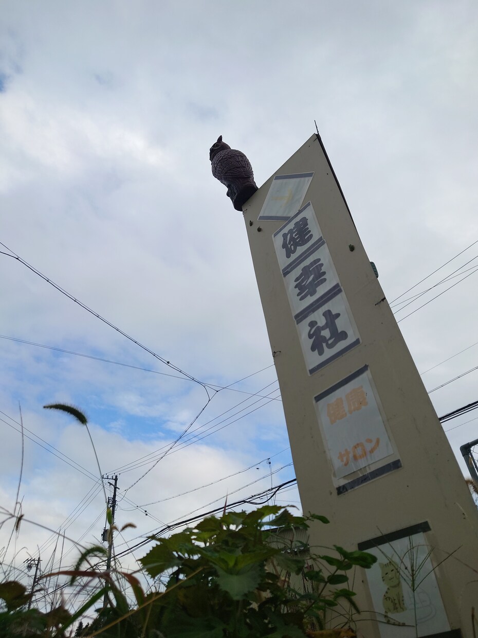 副業を成功へ導くお手伝い致します コーチングで副業を成功へ導きます☆ イメージ1