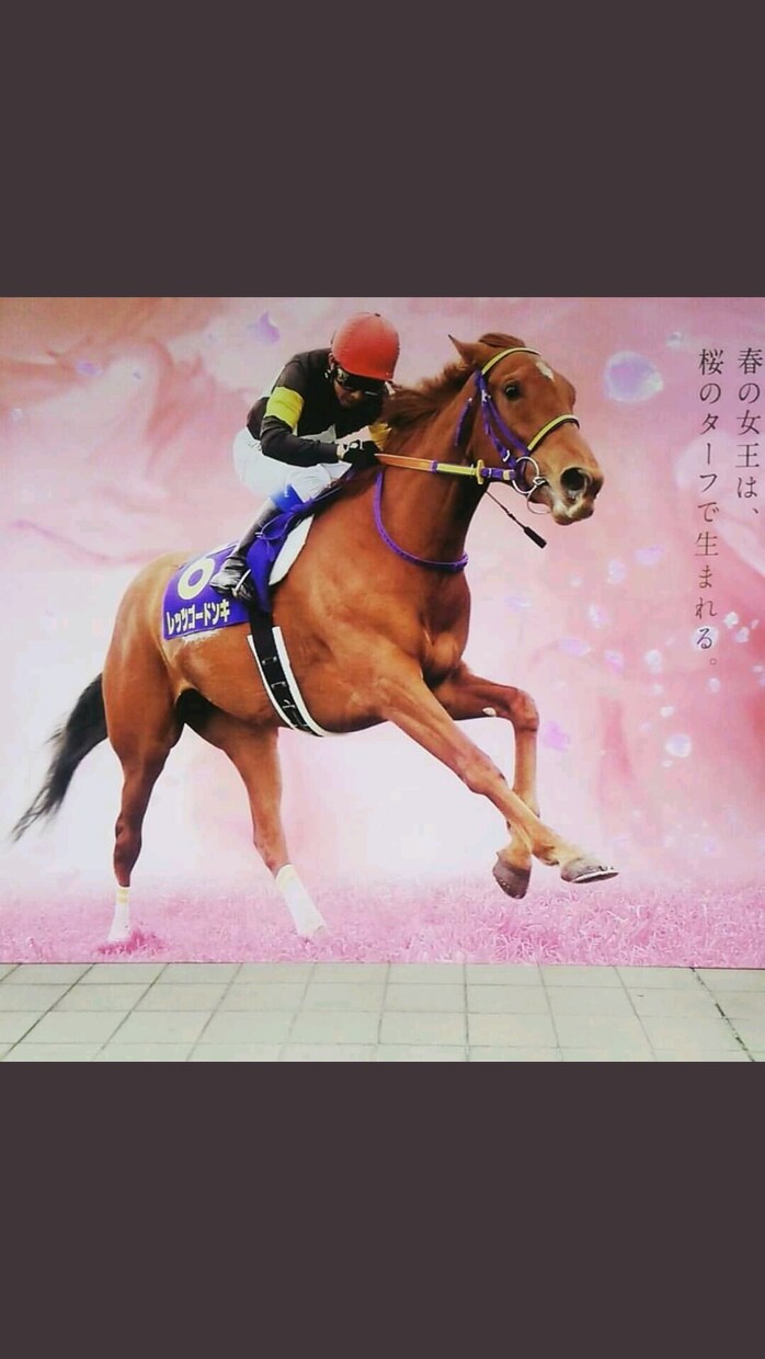 僕の買う馬券を教えます 信じるか信じないかはあなた次第過去10000万馬券の実績も！ イメージ1