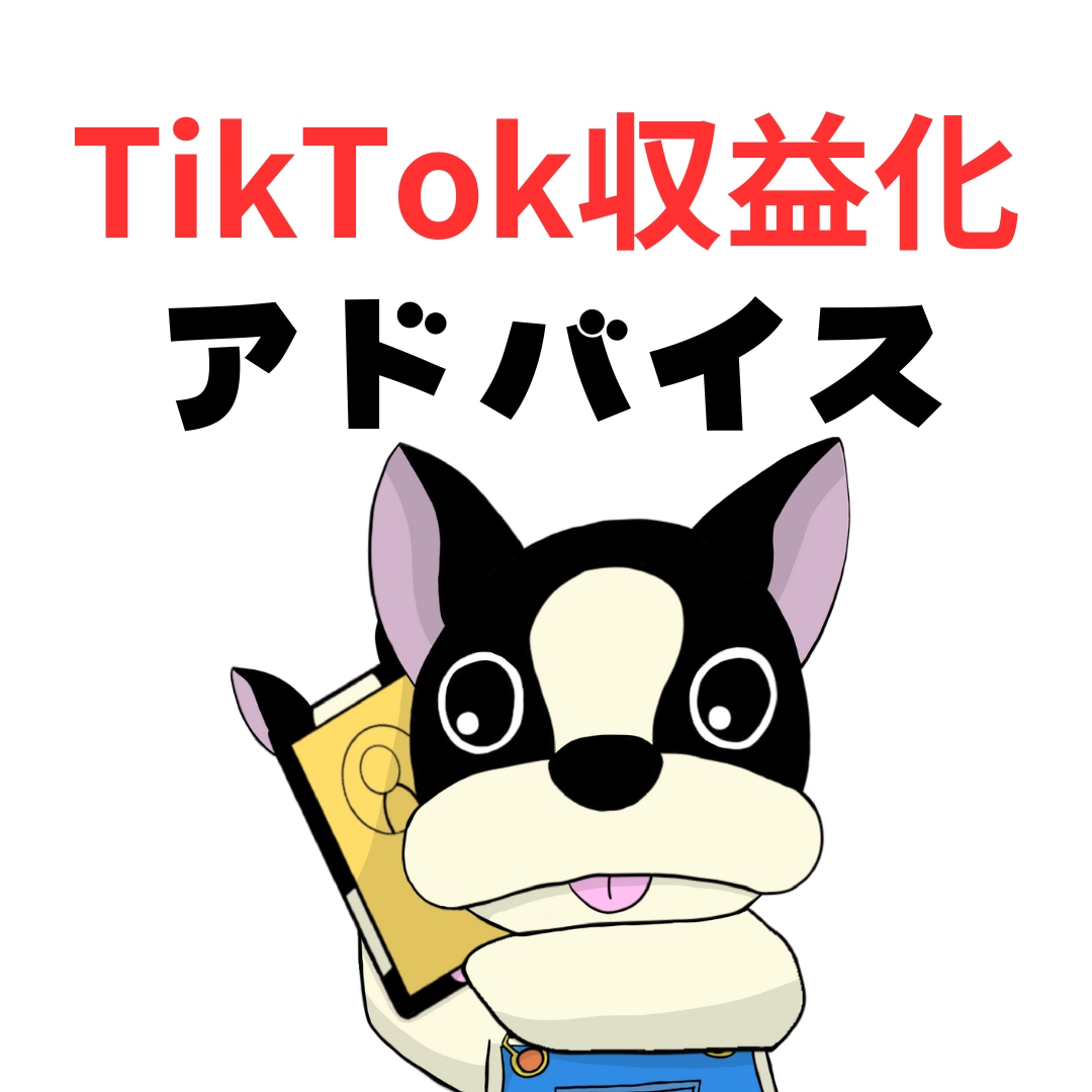 TikTok動画の収益化アドバイスなどをします 自称コンサルとは違います。実績ある投稿者目線でのアドバイス イメージ1