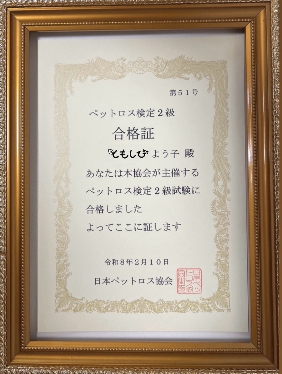 チャットでお答え！ペットちゃんとお話します 48時間以内にご報告｜チャットだから読み返せる イメージ5