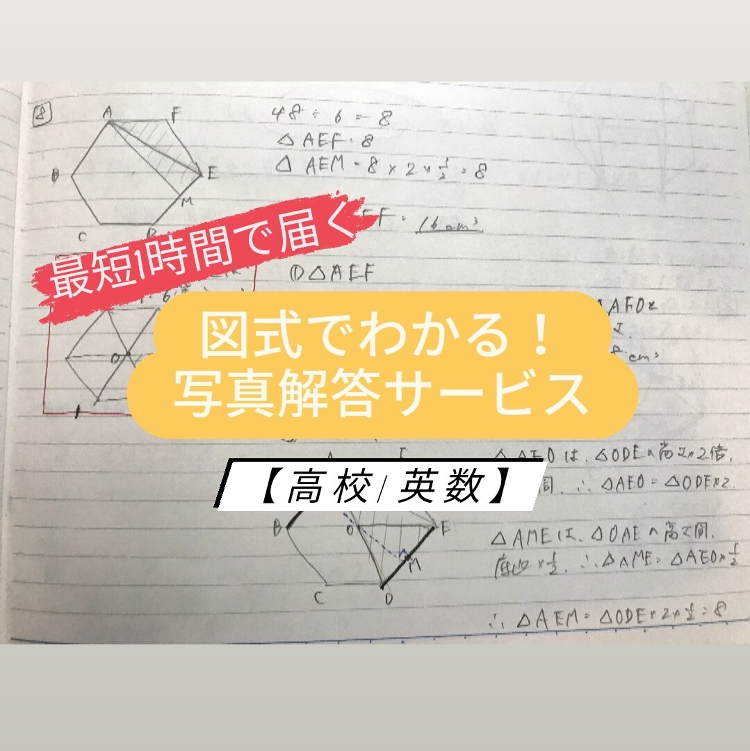 1枚300円〜！チャット形式で高校生の勉強教えます 写真解答サービス/最短1時間以内/図式で解説/九大卒講師 イメージ1