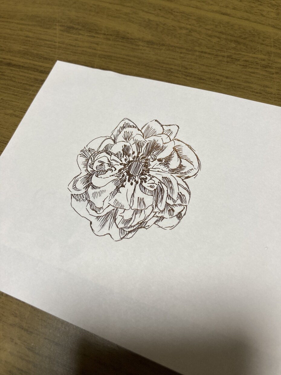好きなお花や家族の一員ペットの似顔絵描きます 鉛筆、ボールペンのみで仕上げます✏️色はつきません。 イメージ2