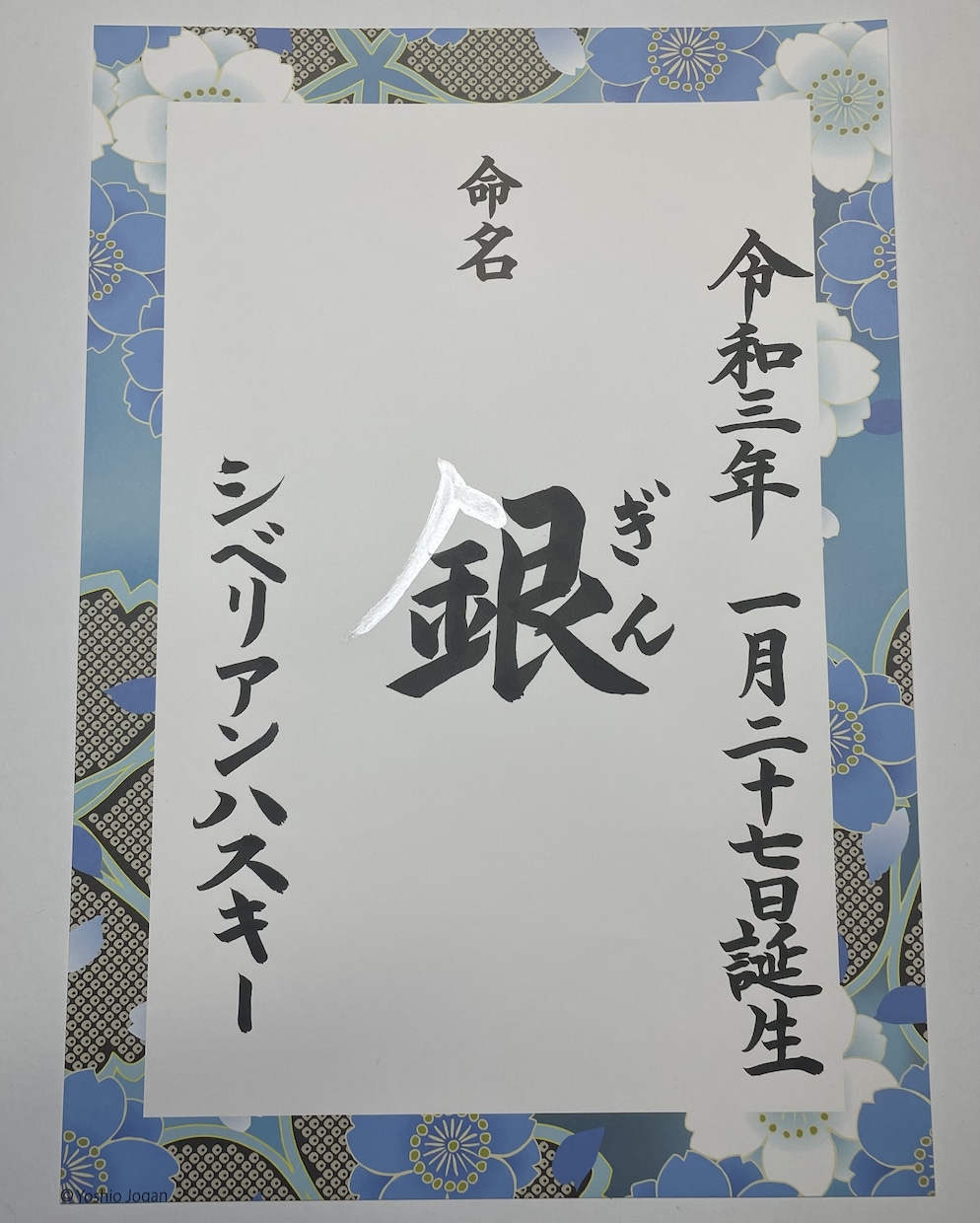 和柄用紙に手書の【命名書】作成致します 美しい⭐︎楷書文字で代筆させて頂きます。 イメージ8