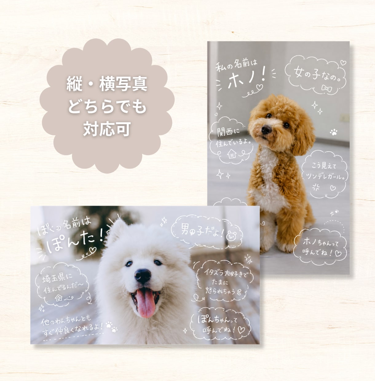 手書きトリセツ風うちの子名刺作ります スマホ写真OK！印刷代込100枚セミオーダーのペット名刺 イメージ4