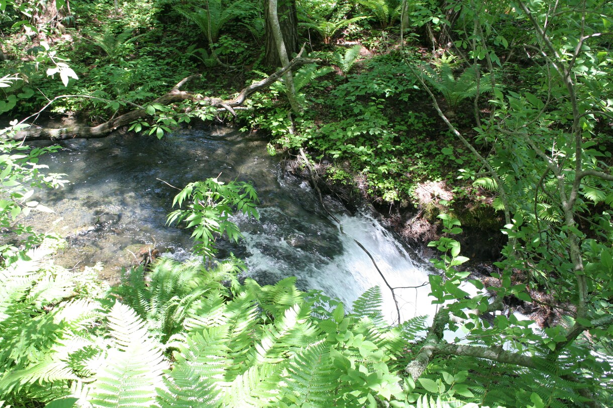 思い出(旅行等)の写真や動画を１本のDVDにします 家族や仲間で集まってテレビ画面で思い出ムービーを見ませんか？ イメージ1
