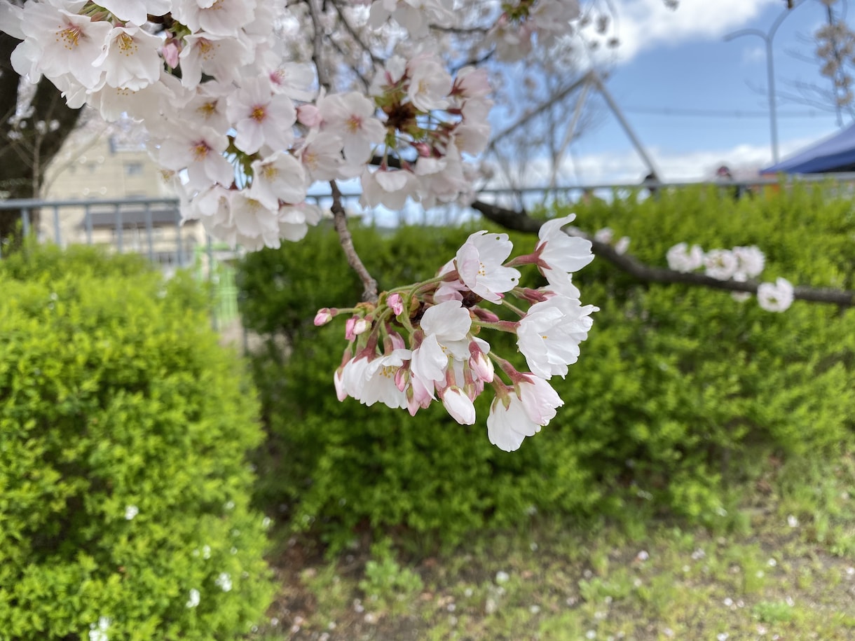 大学生が、愚痴や悩みを聞きます 自分の学校中退、いじめ、失恋等の経験を生かし相談に乗ります。 イメージ1